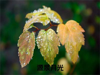 源泉月光（楚芙裴伽罗小说）小说免费最新章节列表_源泉月光笔趣阁（楚芙裴伽罗小说）