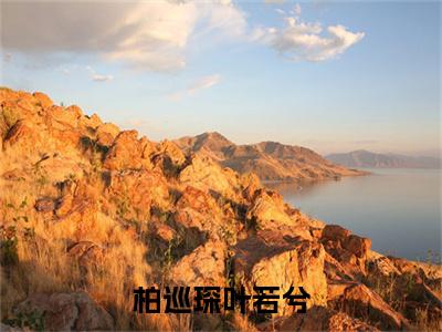 柏巡琛叶若兮小说全文在线赏析叶若兮柏巡琛小说免费阅读全文大结局