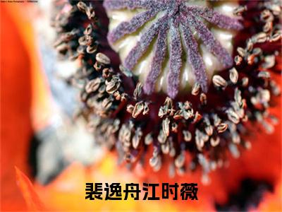 江时薇裴逸舟（裴逸舟江时薇）完整版小说阅读-江时薇裴逸舟小说（裴逸舟江时薇）精彩免费试读