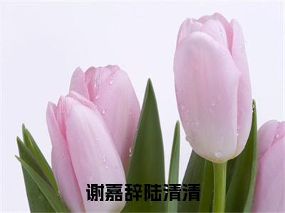 陆清清谢嘉辞（谢嘉辞陆清清）全文免费阅读无弹窗大结局_（谢嘉辞陆清清小说免费阅读）_笔趣阁