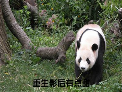 苏叶（重生影后有点甜）全文免费阅读无弹窗大结局_苏叶说免费阅读最新章节列表