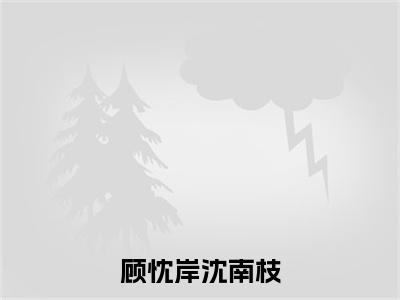 顾忱岸沈南枝全集免费阅读无弹窗_顾忱岸沈南枝完结小说榜单阅读（顾忱岸沈南枝小说）