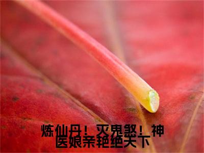 （沈清幽）炼仙丹！灭鬼煞！神医娘亲艳绝天下小说全文免费_（沈清幽）最新章节列表笔趣阁