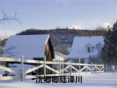 小说《沈卿卿陆泽川》全文免费阅读无弹窗-沈卿卿陆泽川小说全文在线赏析