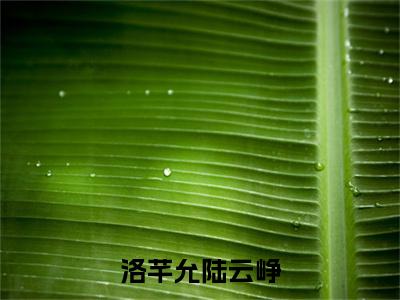 洛芊允陆云峥在线阅读全文免费阅读无弹窗大结局_洛芊允陆云峥最新章节列表_笔趣阁