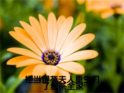 沈安宁裴衍之（拒当炮灰夫人重生刀了绿茶全家）全文免费阅读_沈安宁裴衍之小说最新章节列表笔趣阁