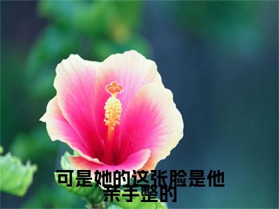 全章节完整《可是她的这张脸是他亲手整的》全文阅读《虞苒苒沈淮序》