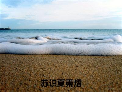 苏识夏秦熠（秦熠苏识夏全文在线阅读）-苏识夏秦熠（秦熠苏识夏）免费阅读无删减完整版