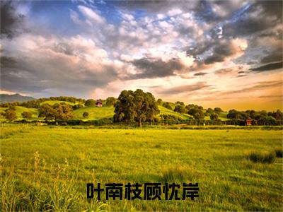 叶南枝顾忱岸小说（顾忱岸叶南枝）全文免费阅读无弹窗_叶南枝顾忱岸小说最新章节免费阅读_笔趣阁（顾忱岸叶南枝）