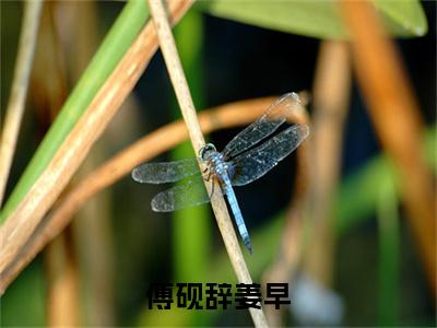 傅砚辞姜早（姜早傅砚辞）全文免费阅读无弹窗大结局_（傅砚辞姜早）姜早傅砚辞最新章节列表_笔趣阁