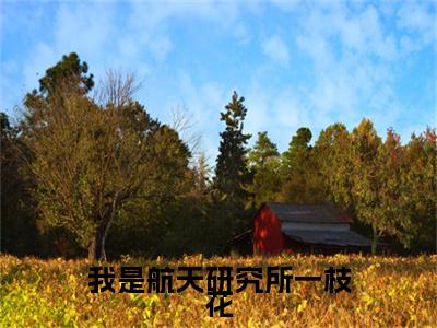 主人公叫（姜清月战京隽）的小说（我是航天研究所一枝花）全文免费阅读最新章节列表_笔趣阁