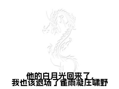 他的白月光回来了，我也该退场了雀雨凝庄啸野多人追的小说在哪里可以看 雀雨凝庄啸野小说免费阅读全章节