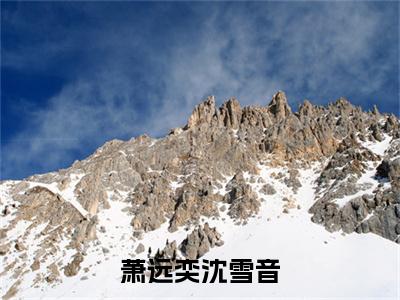 萧远奕沈雪音主角是沈雪音萧远奕全文免费阅读无弹窗-萧远奕沈雪音最新章节列表-笔趣阁