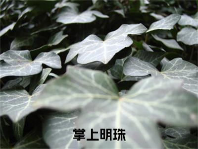 江明珠小说（掌上明珠）全文免费阅读无弹窗大结局_（江明珠免费阅读全文大结局）最新章节列表