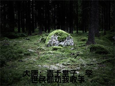 李佑小说（大唐：毒士皇子，李世民都劝我收手）无弹窗大结局-大唐：毒士皇子，李世民都劝我收手（李佑）完整版免费阅读