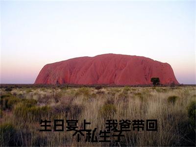 生日宴上，我爸带回个私生子小说全文免费阅读无弹窗大结局-顾永澜免费阅读无弹窗