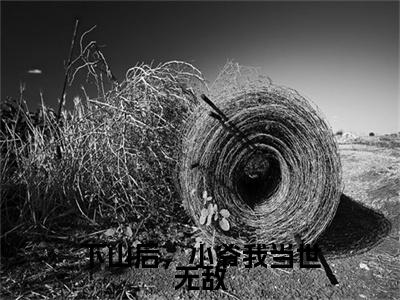 下山后，小爷我当世无敌免费阅读无弹窗最新章节列表-（顾辰）全文免费阅读大结局笔趣阁（顾辰）