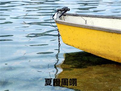 夏橙周翊（周翊夏橙）全文免费阅读无弹窗大结局_夏橙周翊（周翊夏橙免费小说）最新章节列表笔趣阁