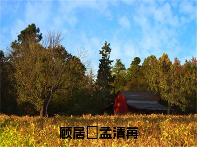 顾居峖孟清苒（孟清苒顾居峖）免费全文阅读小说_顾居峖孟清苒最新章节列表-笔趣阁（孟清苒顾居峖）