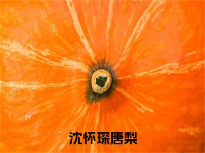 沈怀琛唐梨全文最新章节（唐梨沈怀琛）全文免费阅读无弹窗大结局_唐梨沈怀琛免费阅读