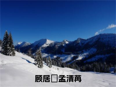 顾居峖孟清苒（孟清苒顾居峖）全文免费阅读无弹窗大结局_顾居峖孟清苒最新章节列表_笔趣阁（孟清苒顾居峖）