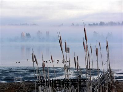 小说梁圳白徐写意全文免费阅读徐写意梁圳白小说全文在线赏析_笔趣阁