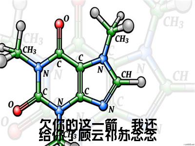 欠你的这一箭，我还给你了顾云祁苏念念（苏念念顾云祁）全文免费阅读无弹窗大结局_欠你的这一箭，我还给你了顾云祁苏念念小说（苏念念顾云祁）最新章节列表