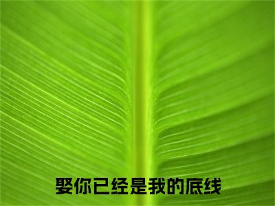 娶你已经是我的底线小说最新章节（景翼岑顾灵犀）全文免费阅读无弹窗大结局_景翼岑顾灵犀免费阅读（娶你已经是我的底线小说）