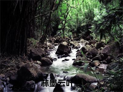 叶栀林墨云小说在哪里可以看林墨云叶栀-小说《林墨云叶栀》叶栀林墨云免费阅读