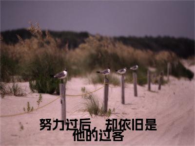 努力过后，却依旧是他的过客（李书渝顾承安）全文完整版免费阅读_李书渝顾承安（努力过后，却依旧是他的过客全文免费阅读）最新章节列表