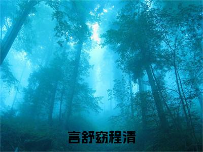 言舒窈程清（言舒窈程清）全文阅读完整版_言舒窈程清（言舒窈程清）小说免费阅读大结局无删减