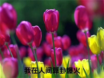 《我在人间算卦爆火》无弹窗大结局-（白眠）无弹窗阅读最新章节列表_笔趣阁