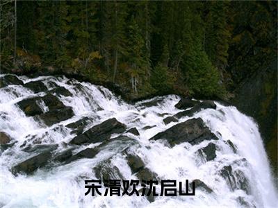 经典小说宋清欢沈启山无广告小说免费阅读宋清欢沈启山全章节免费阅读