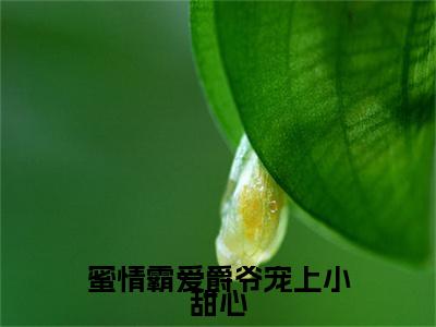 新上热文蜜情霸爱爵爷宠上小甜心在线阅读-焱尊夏沐叫焱尊夏沐的小说全文完整版免费阅读