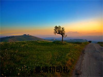 姜情祁司礼（姜情祁司礼）最新小说全文阅读-热点小说姜情祁司礼（姜情祁司礼）最新章节免费阅读