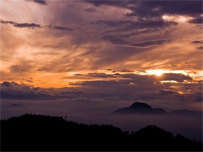 （阮南枝傅祁川免费+番外）阮南枝傅祁川高质量小说阮南枝傅祁川推荐阅读-阮南枝傅祁川小说最新章节