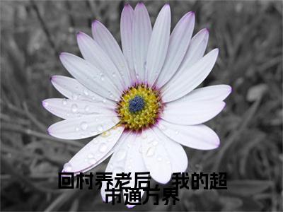 回村养老后，我的超市通万界（柏曦）全文免费读无弹窗大结局_柏曦免费小说回村养老后，我的超市通万界读无弹窗最新章节列表