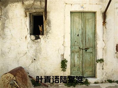 叶青语陆宴淮小说（叶青语陆宴淮）全文免费阅读无弹窗大结局_叶青语陆宴淮小说免费阅读最新章节列表笔趣阁（叶青语陆宴淮）