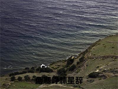 傅寒峥林星辞全文免费阅读无弹窗大结局_（林星辞傅寒峥免费阅读）傅寒峥林星辞最新章节在线阅读_笔趣阁