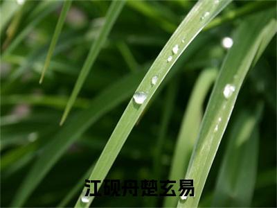 楚玄易江砚舟小说免费下载阅读_（江砚舟楚玄易）楚玄易江砚舟最新章节列表_笔趣阁（江砚舟楚玄易）