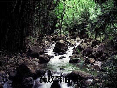 赫欢韩临风全文小说（韩临风赫欢）-完结版热文韩临风赫欢（赫欢韩临风）小说免费阅读