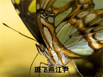 （热推新书）美文摘抄（戚飞燕江尹）主人公为（江尹戚飞燕）的小说戚飞燕江尹大结局全文免费阅读_笔趣阁