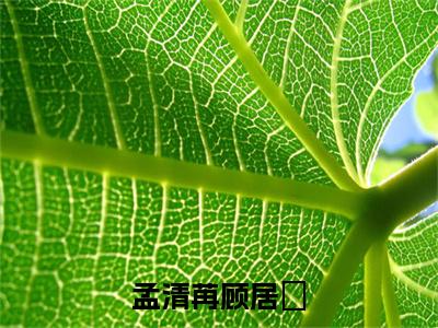 孟清苒顾居峖（孟清苒顾居峖）全文免费阅读无弹窗大结局_（孟清苒顾居峖）孟清苒顾居峖最新章节列表