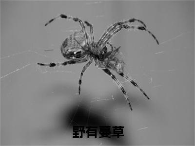 野有蔓草（季无谢）全文免费阅读无弹窗大结局_野有蔓草最新章节列表-笔趣阁季无谢