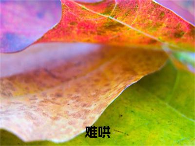 叶慕宇唐星遥小说（难哄）全文免费阅读_难哄最新章节列表笔趣阁（叶慕宇唐星遥）