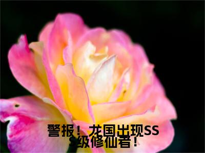 陈凡免费版最新更新阅读-警报！龙国出现SSS级修仙者！小说全文在线阅读