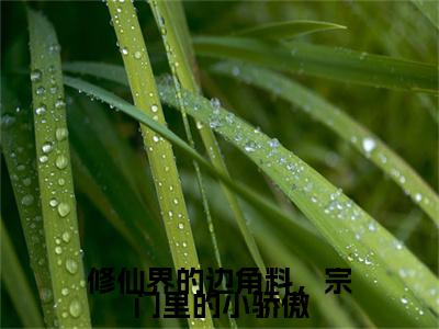 修仙界的边角料，宗门里的小骄傲全本资源免费阅读结局无删节主角：秦非小说全文阅读无弹窗