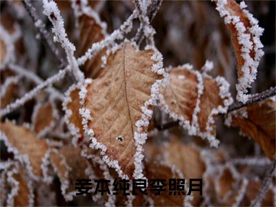 李照月（妾本纯良李照月）今日爆款小说-（李照月）妾本纯良李照月完结大结局免费阅读