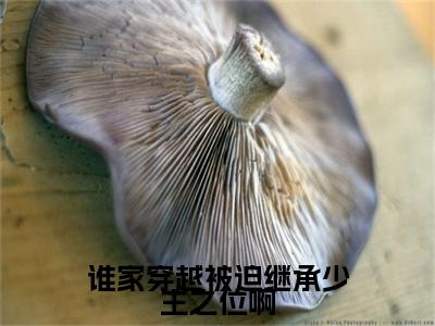 （番外）+（全文）谁家穿越被迫继承少主之位啊小说免费下载阅读_（谁家穿越被迫继承少主之位啊）知信最新章节列表_笔趣阁（知信）