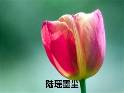 陆瑶墨尘小说（墨尘陆瑶）全章节完整版免费小说_陆瑶墨尘最新章节在线阅读_笔趣阁